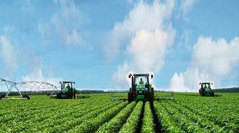 美丽田园爆料视频大全最新,揭秘田园风光背后的故事